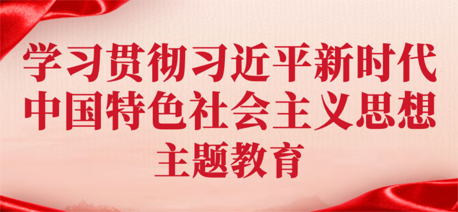 学习贯彻习近平新时代中国特色社会主义思想主题教育